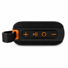 خرید اسپیکر شارژی بلوتوثی کوچک WSTER WS-336 با فلش رم و رادیو